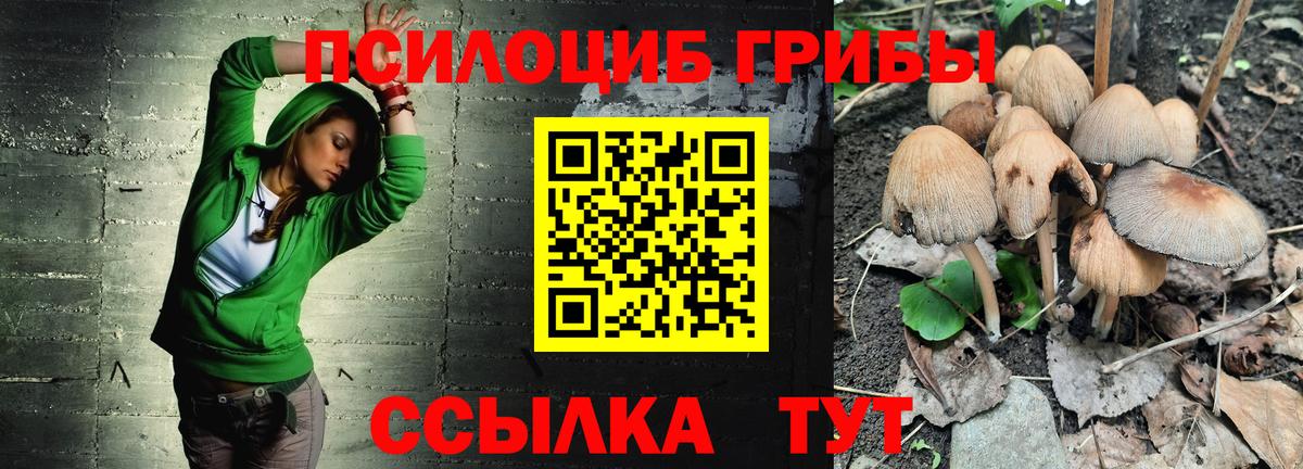 Псилоцибиновые грибы мухоморы Асбест